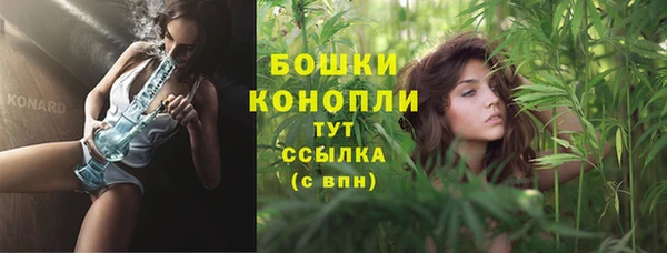 тгк Богданович