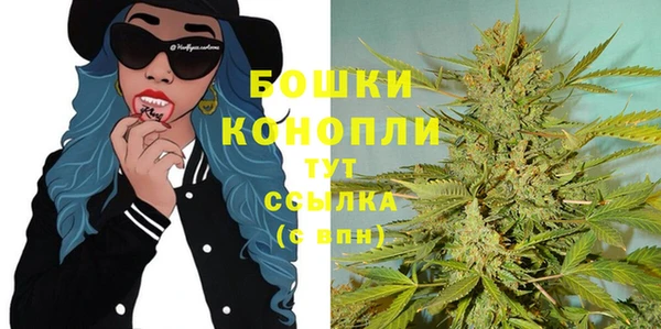 тгк Богданович