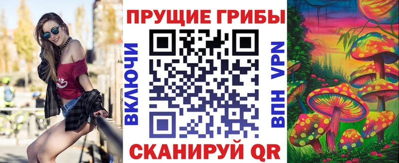 Псилоцибиновые грибы Psilocybe  Купить где  Славгород 